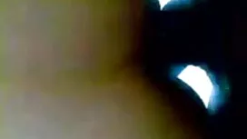 ব্লজব, বড় বাংলাদেশি ...