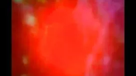 বড় দোষ নয় কালো গাধ ...
