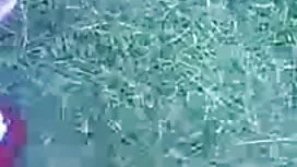 শ্যামাঙ্গিণী, সুন্দর ...