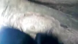 চরম কালো-এটা ঠিক আছে ...