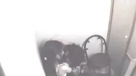 শীর্ষ নিবন্ধন দেশী চ ...
