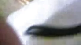 স্বামী ও স্ত্রী বাংল ...