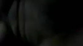 ফ্রিড্রিশিয়ার পিটি  ...
