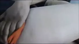ট্রান-আল এস (2020 চু ...