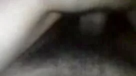 ব্লজব স্বামী ও স্ত্র ...