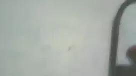 ডগী-স্টাইল বড়ো চুদা ...