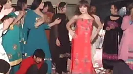 গাছপালা বীজ আছে. বাং ...