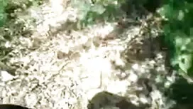 স্বামী ও স্ত্রী বাংল ...