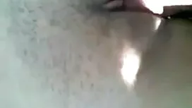 পালের গাদা ক্রিম মাত ...