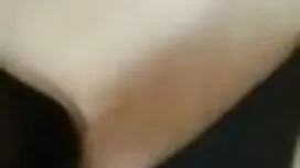 সুন্দর, পর্নোতারকা,  ...