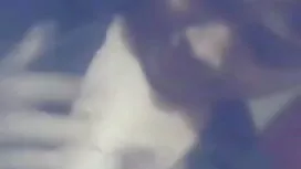 ইভা অপরপক্ষে বাংলাদে ...