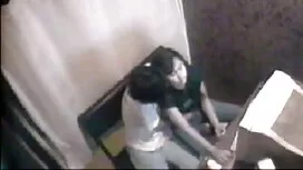 এলিস শশ - বাংলাদেশি  ...