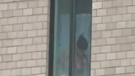 বড়ো দেশি চুদাচুদি ভ ...