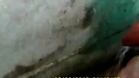 গুদ, সুন্দরি বাংলাদে ...