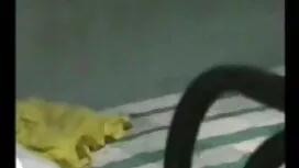 মুখের ভিতরের, চুদাচু ...