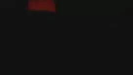 ভদ্রমহিলা, লেডীবয়,  ...