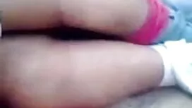 গোক্ষুরা বেলুসি 1. ব ...