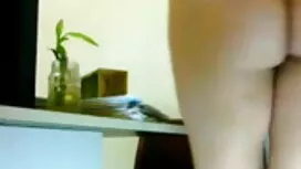 ওয়েবক্যাম, স্পাই, ব ...