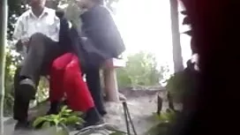 সূর্যের সুরক্ষা ফ্যা ...