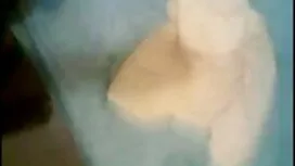 অপেশাদার, পরিণত, বাং ...