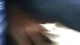 ফ্রেঙ্ক অফসাইড পিটি  ...