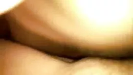 ক্যামিলিয়াস বাংলাদে ...
