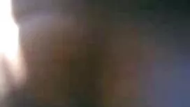 P. L. E. বাংলা দেশি  ...