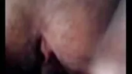 অ্যালেক্স গ্রে বাংলা ...