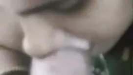 পর্নোতারকা, সুন্দরী  ...