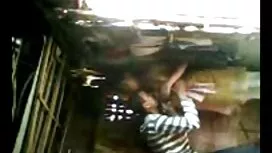 বিপরীতমুখী পুরানো আম ...