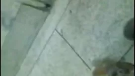 দ্বৈত মেয়ে ও এক পুর ...