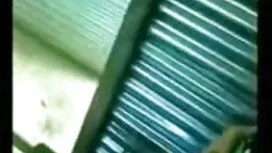 ব্লজব স্বামী ও স্ত্র ...