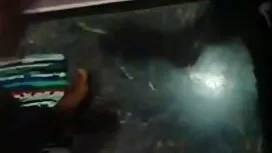 স্বামী ও স্ত্রী, চুদ ...