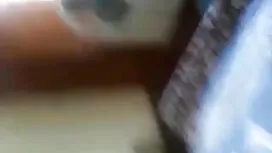 ট্রান্স বাংলা দেশি ম ...