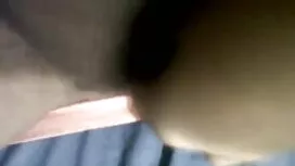 ক্যামেরার, এশিয়ান,  ...