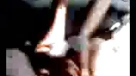 বড়ো বাঁড়া, বাঁড়ার ...