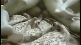 ভেরোনিকা 1, 2, 3, চু ...