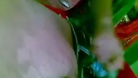 ওয়েবক্যাম, বাংলা দে ...