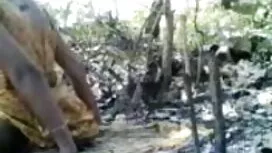 লেসবিয়ান, মহিলার বা ...