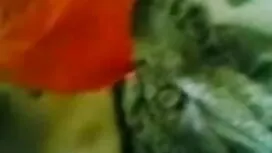 সঙ্গে প্রশিক্ষণ. চোদ ...
