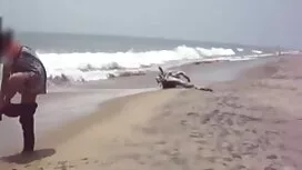 হার্ডকোর, কালো মেয়ে ...