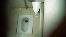 পালের গাদা ক্রিম মেয ...