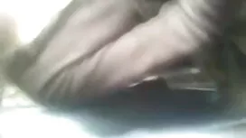 বড়ো বাঁড়া, বাঁড়ার ...